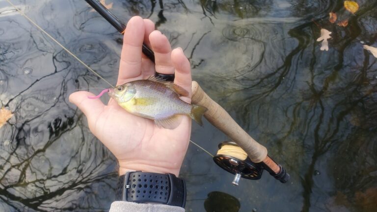 a person holding a fish on a fishing rod