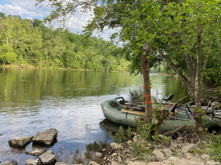 a small boat sitting on top of a river next to a forest