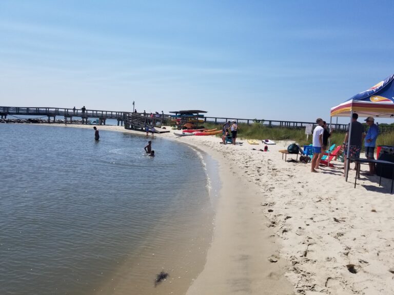 people are standing on the beach near the water
