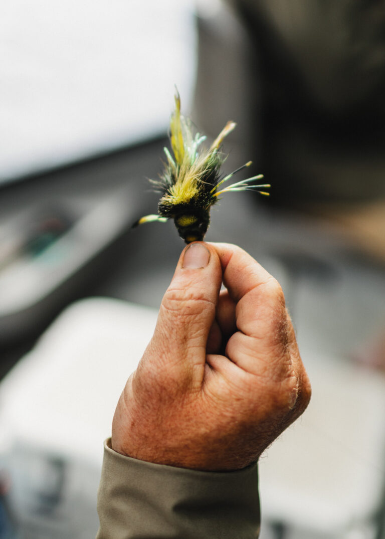 a man holding a tiny yellow and black bird