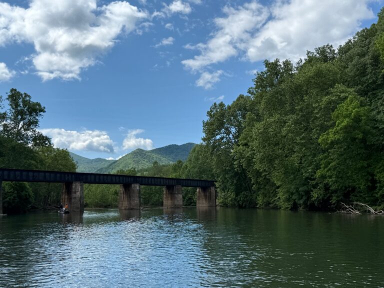 a bridge over a river surrounded by trees