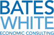logo partner