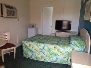 1 full bed with carpet and ac pic