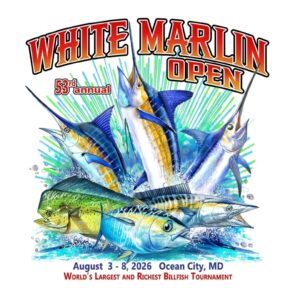 WMO Commemorative Flag