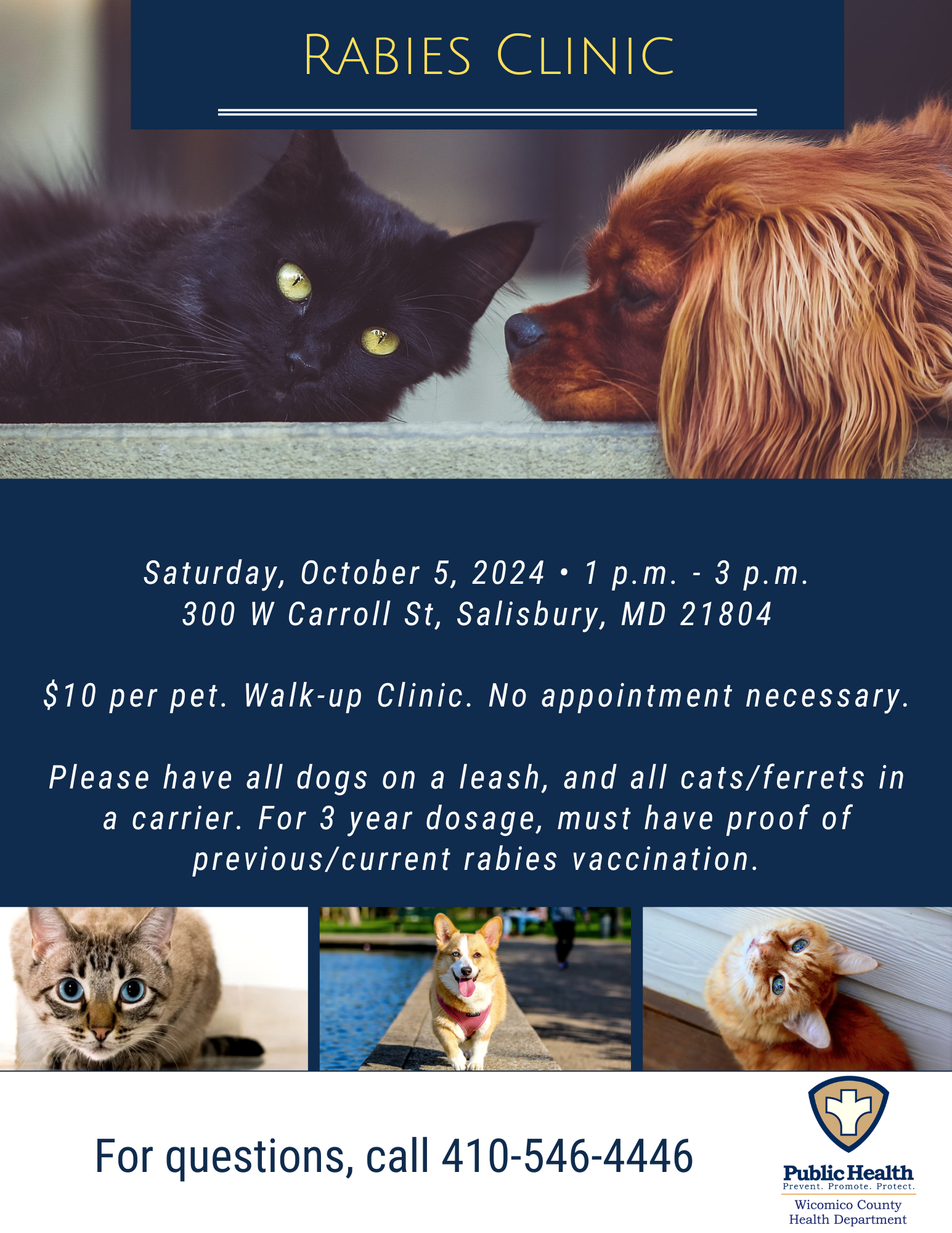 a flyer for a dog and cat meeting