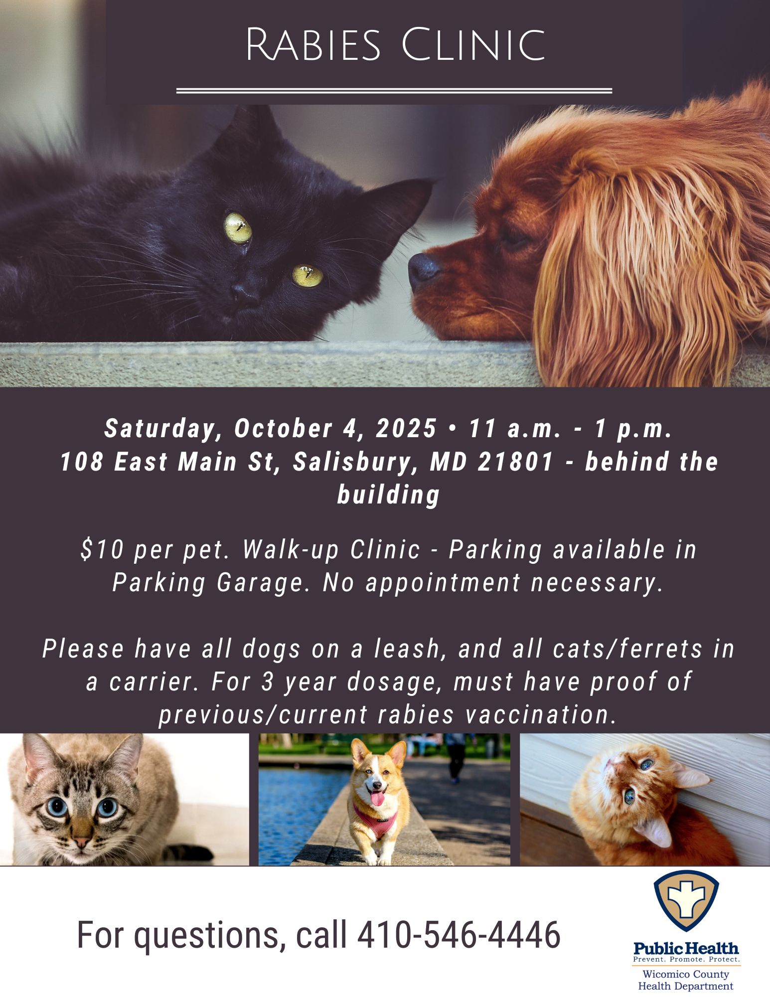 a flyer for a dog and cat event