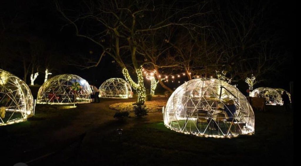 Multiple outdoor dining bubbles with string lights