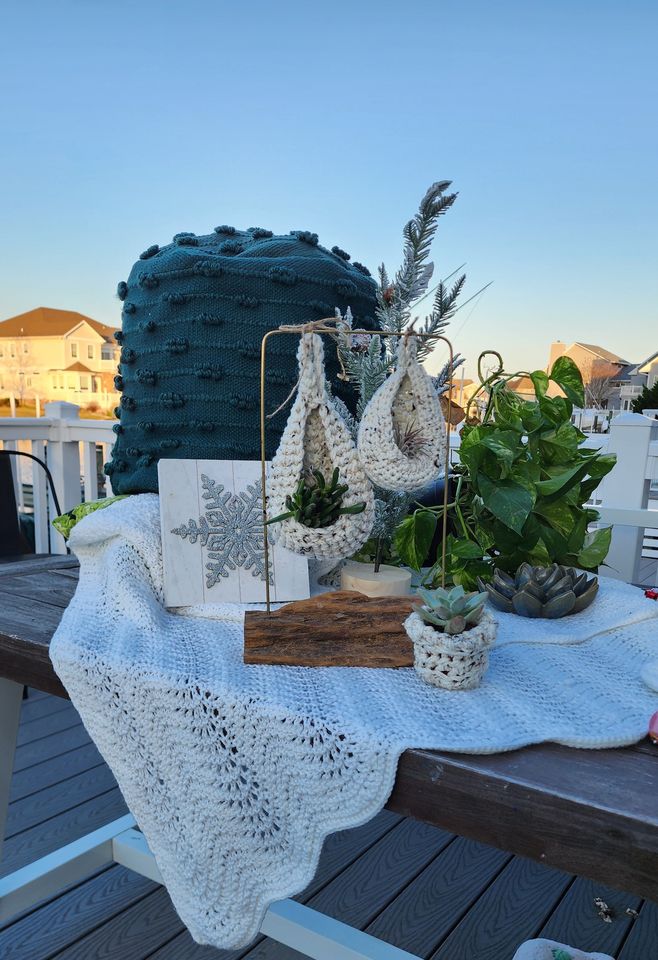 Plants in hand made crochet hangers