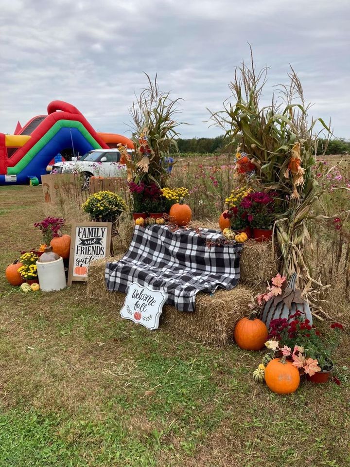 fall festival hay bench and pumpkins