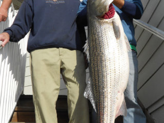 monster rockfish with two men on stairs