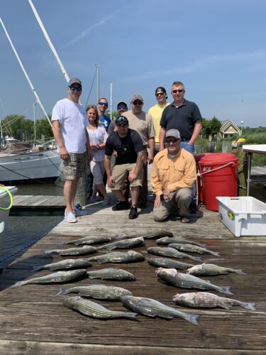 Late Spring Rockfish