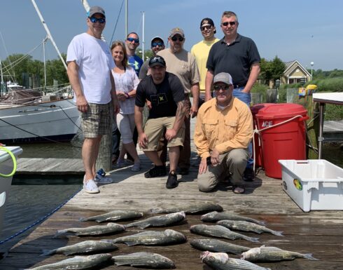Late Spring Rockfish
